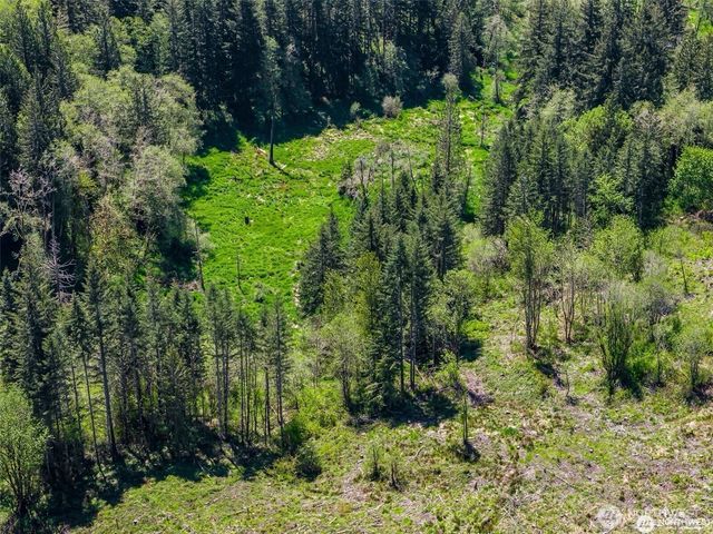 607 Brown Road, Adna, WA 98522