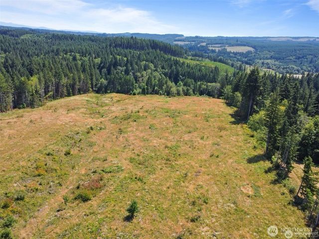 607 Brown Road, Adna, WA 98522