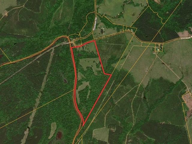 2611 County Road 789, Douglass, TX 75943