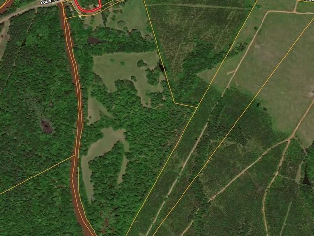 2611 County Road 789, Douglass, TX 75943