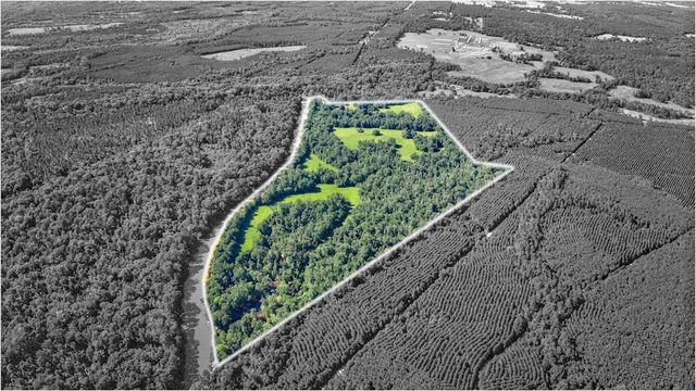 2611 County Road 789, Douglass, TX 75943