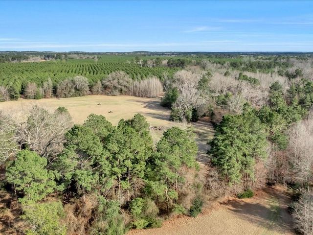 2611 County Road 789, Douglass, TX 75943