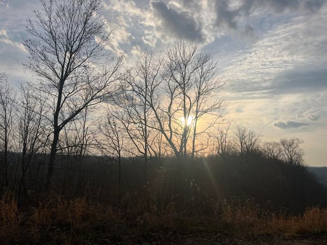 617 Walk Log Branch Road, Beattyville, KY 41311