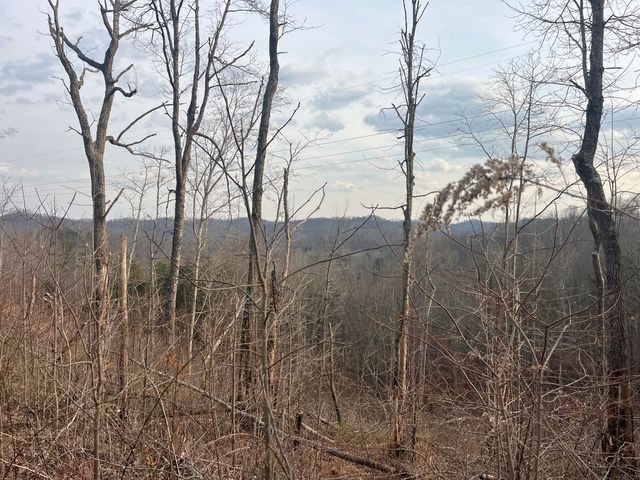 617 Walk Log Branch Road, Beattyville, KY 41311