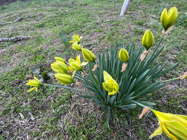 617 Walk Log Branch Road, Beattyville, KY 41311