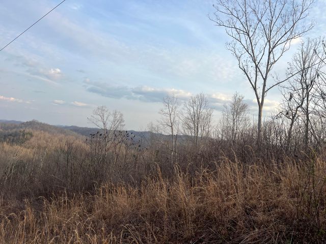 617 Walk Log Branch Road, Beattyville, KY 41311