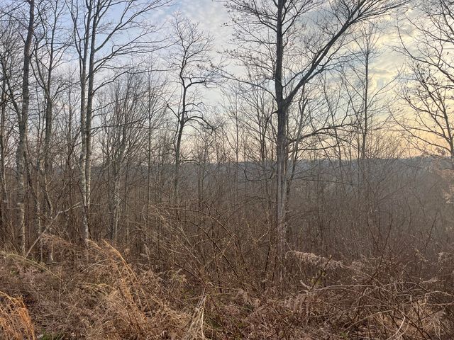 617 Walk Log Branch Road, Beattyville, KY 41311