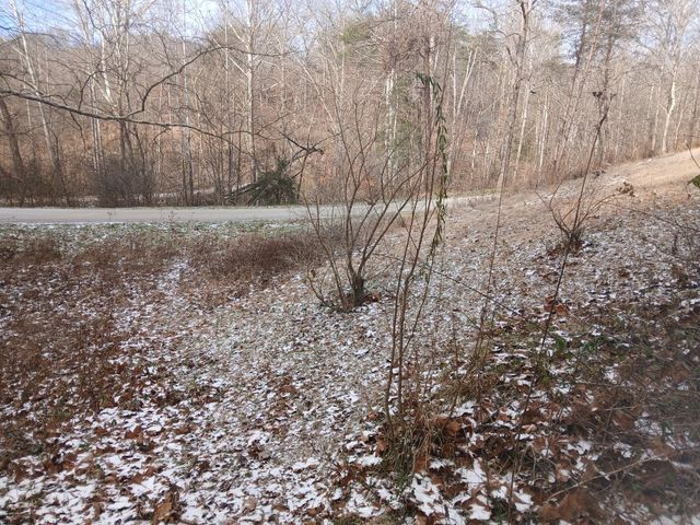 617 Walk Log Branch Road, Beattyville, KY 41311