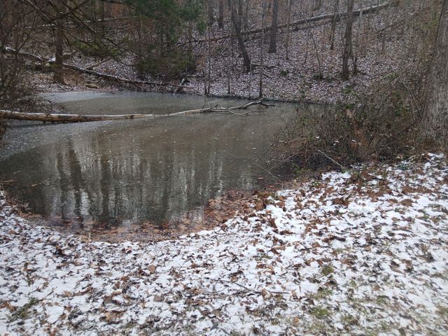 617 Walk Log Branch Road, Beattyville, KY 41311