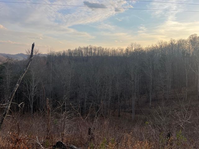 617 Walk Log Branch Road, Beattyville, KY 41311