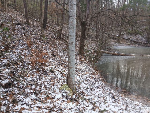 617 Walk Log Branch Road, Beattyville, KY 41311