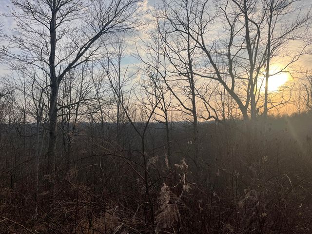 617 Walk Log Branch Road, Beattyville, KY 41311