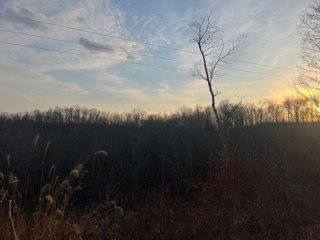 617 Walk Log Branch Road, Beattyville, KY 41311