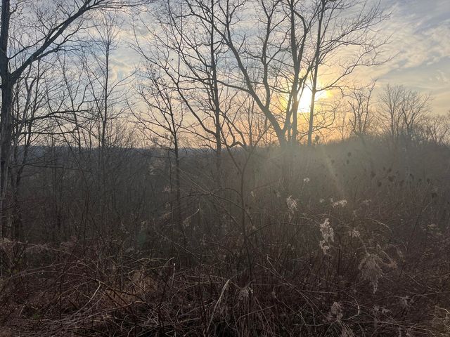 617 Walk Log Branch Road, Beattyville, KY 41311