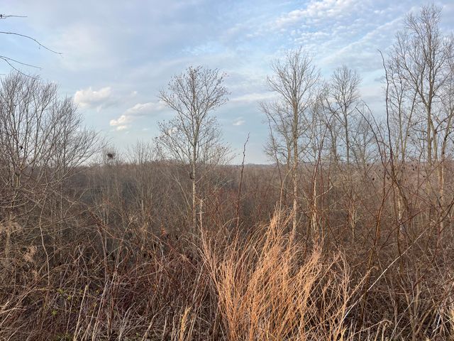 617 Walk Log Branch Road, Beattyville, KY 41311