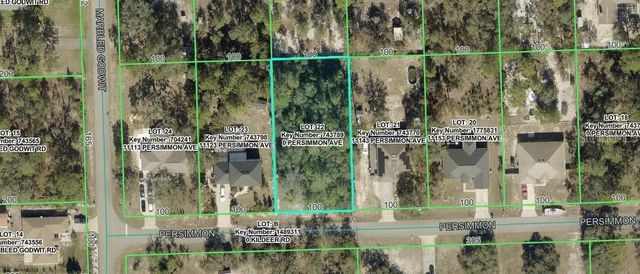 PERSIMMON AVENUE, Weeki Wachee, FL 34614