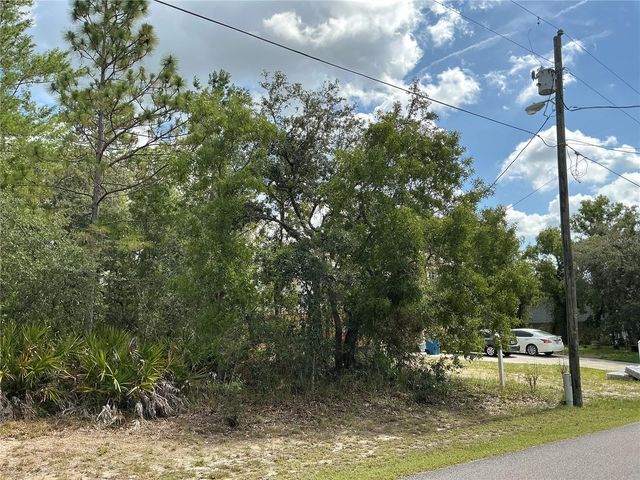 PERSIMMON AVENUE, Weeki Wachee, FL 34614