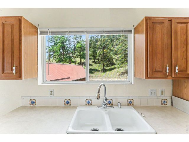 115 Paca View Ct, Livermore, CO 80536