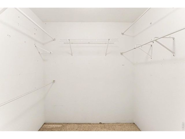 115 Paca View Ct, Livermore, CO 80536