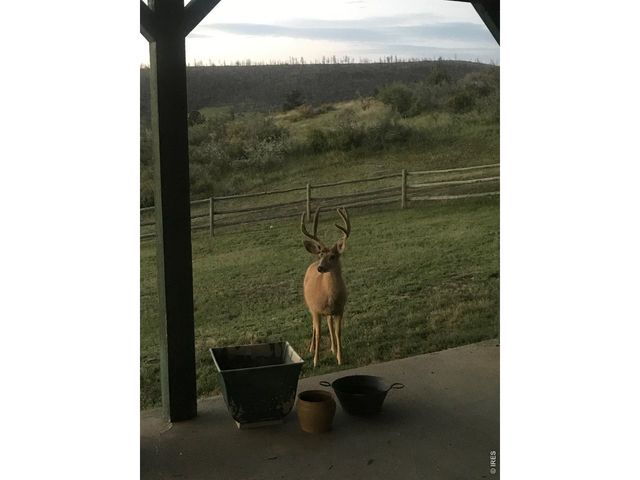 115 Paca View Ct, Livermore, CO 80536