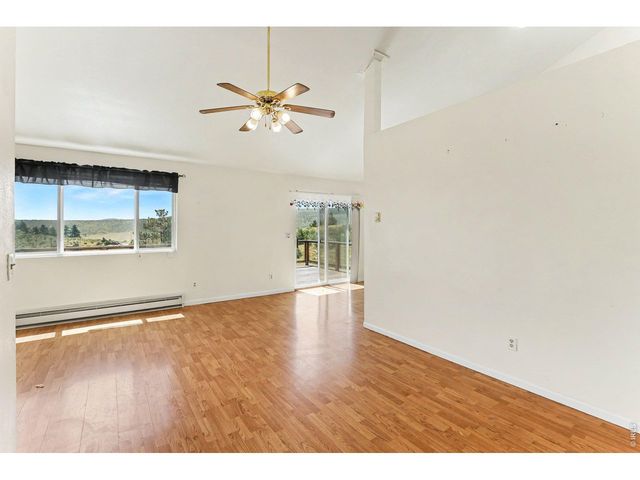 115 Paca View Ct, Livermore, CO 80536