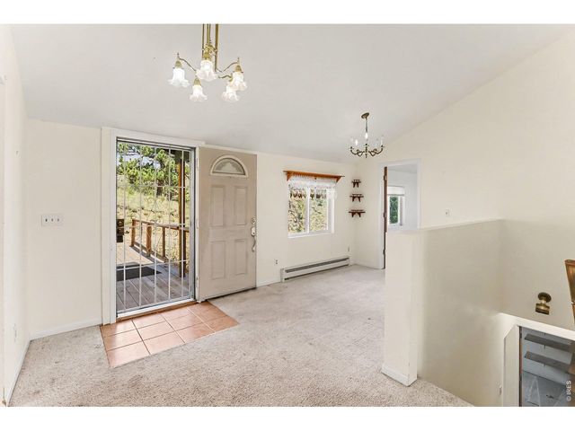 115 Paca View Ct, Livermore, CO 80536