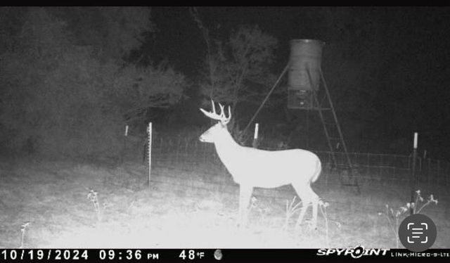 8383 Fm-60, Somerville, TX 77879