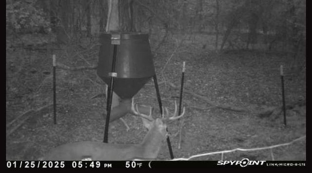 8383 Fm-60, Somerville, TX 77879