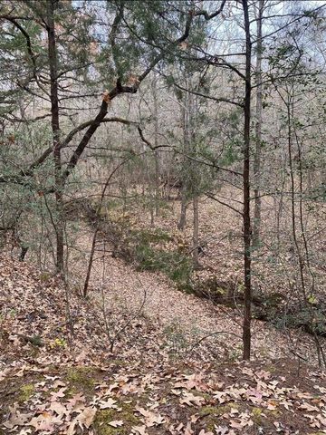 8383 Fm-60, Somerville, TX 77879