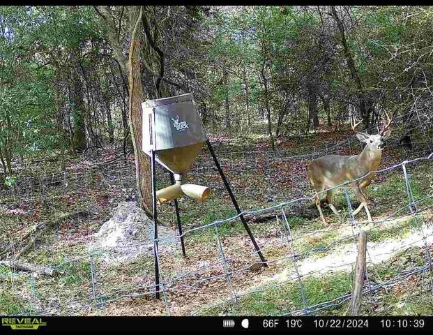 8383 Fm-60, Somerville, TX 77879