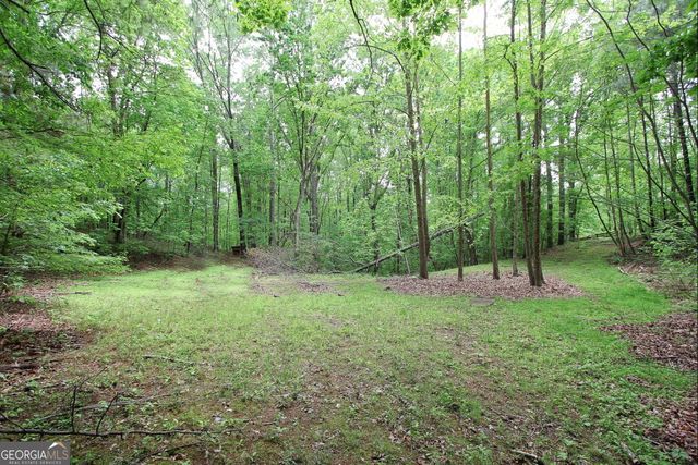 445 Lula Payne Trail, Ball Ground, GA 30107