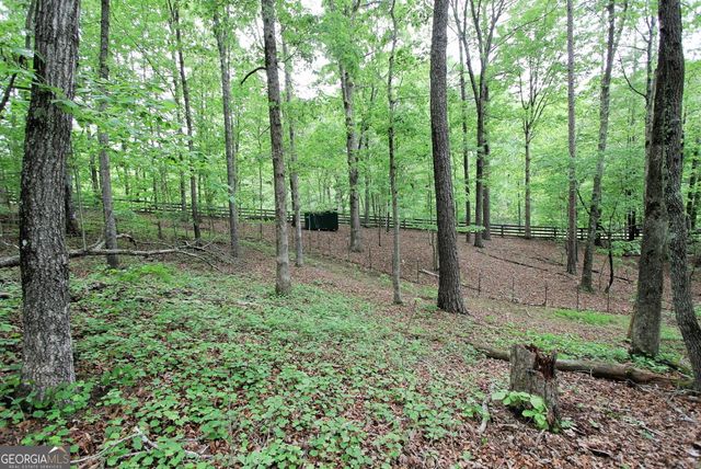 445 Lula Payne Trail, Ball Ground, GA 30107