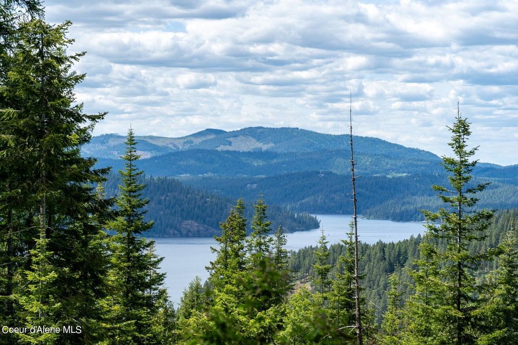 Lot 2 Riddle Rd, Harrison, ID 83833