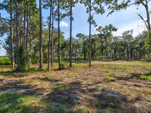 15504 LENWAY ROAD, Spring Hill, FL 34610