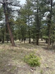 1120/1086 N Mountain Estates Road, Florissant, CO 80816
