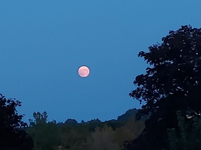 2 Talbot Way 2208, Westborough, MA 01581