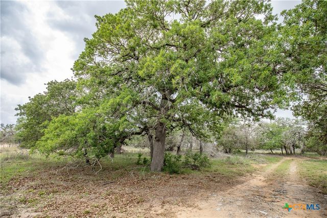 132 Roemer Lane, Floresville, TX 78114