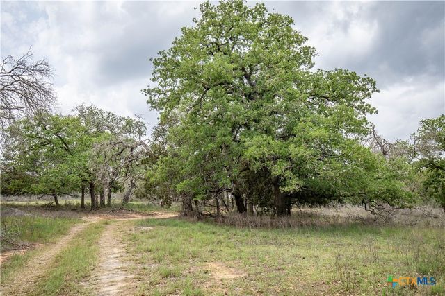 132 Roemer Lane, Floresville, TX 78114