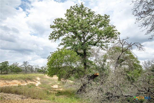 132 Roemer Lane, Floresville, TX 78114