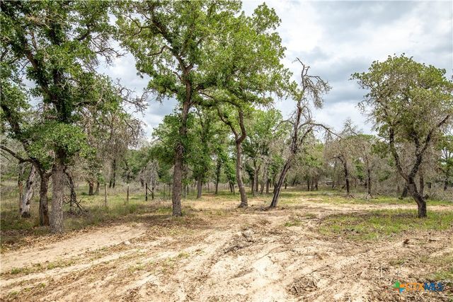 132 Roemer Lane, Floresville, TX 78114