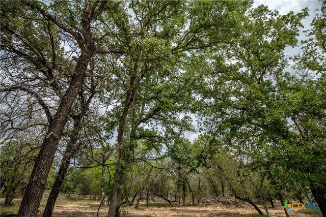 132 Roemer Lane, Floresville, TX 78114