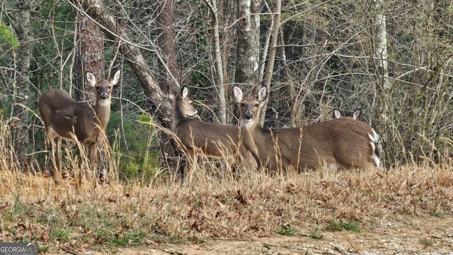 5232 CROW CREEK Road, Lakemont, GA 30552