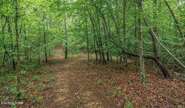 159 Tremont Way, Harriman, TN 37748