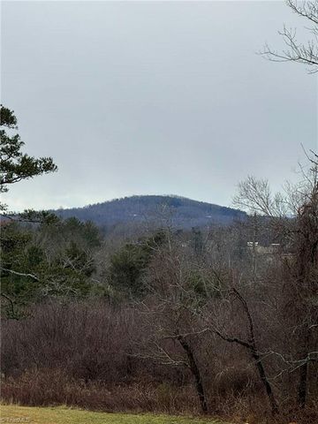 12544 Traphill Road, Traphill, NC 28685