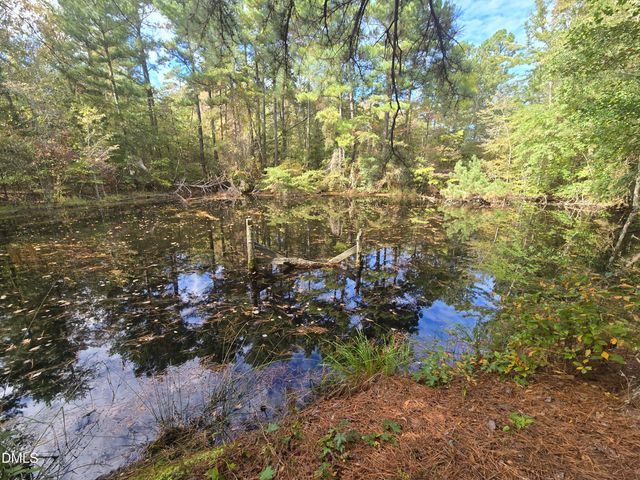 0 Bass Mountain, Snow Camp, NC 27349
