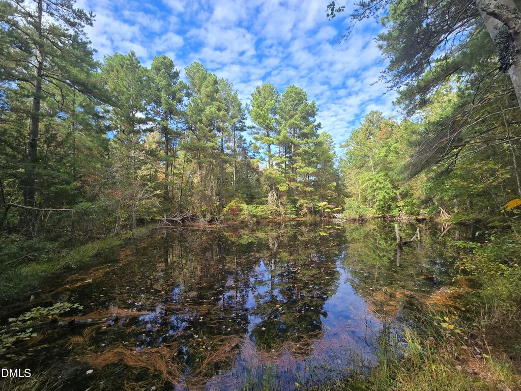 0 Bass Mountain, Snow Camp, NC 27349