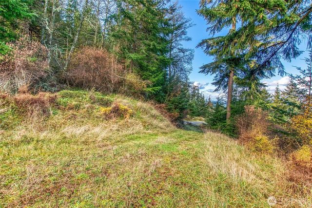 359 Georgia Strait Lane, Orcas Island, WA 98245