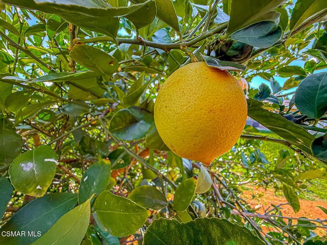 3190 Big Springs Avenue, Simi Valley, CA 93063