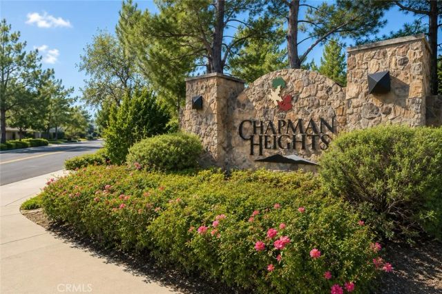 33456 Warwick hills Rd, Yucaipa, CA 92399