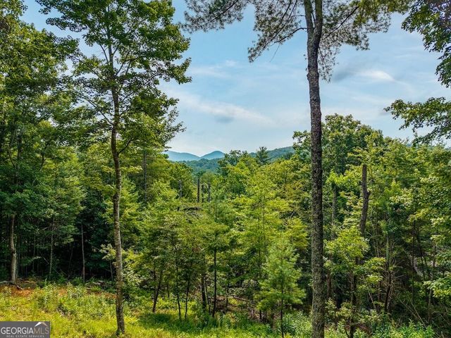 120 Bell Camp Ridge Road, Blue Ridge, GA 30513